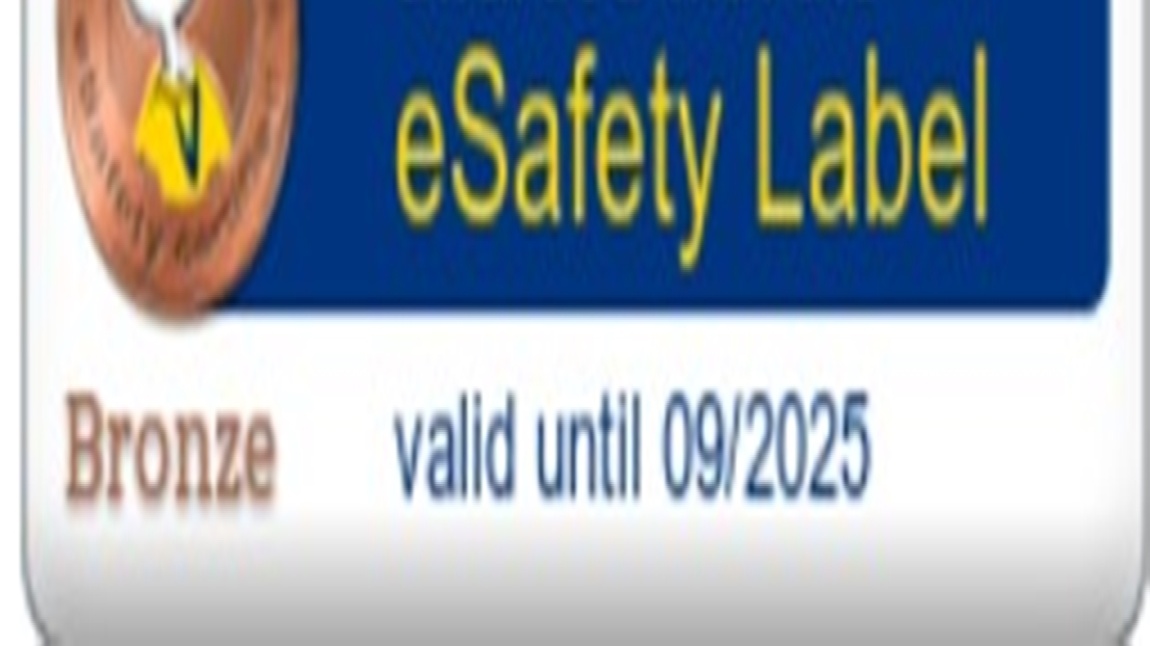 e safety label 